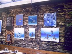 Pascal's exhibition in Le Papagayo, 2008