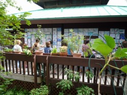 the display during Sea Turtle Day 2009